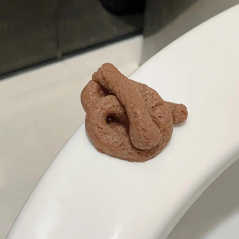 실제처럼 보이는 가짜 똥 장난감, 파티용 재미있는 장난 - Fake Poop Gag Gift 리뷰 및 가격