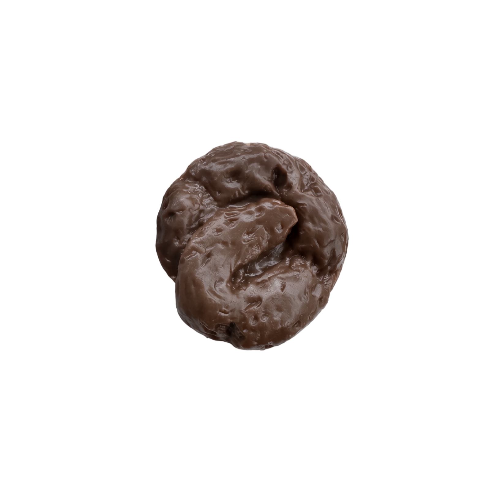 실제와 같은 똥 모양의 안전하고 부드러운 플라스틱 가짜 - Fake Poop Gag Gift 리뷰 및 가격