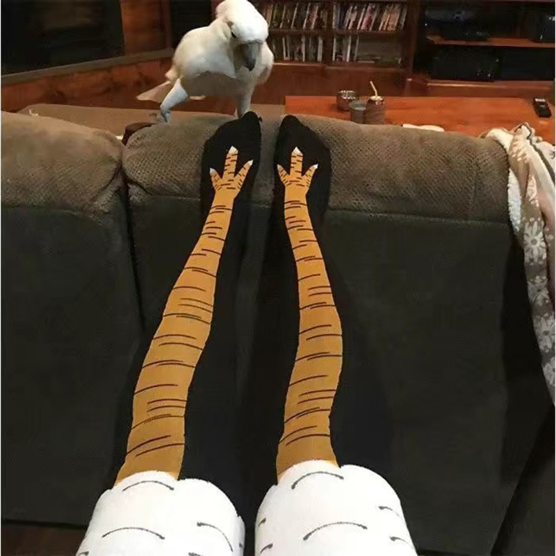 여성 치킨 발 양말 애니메이션 치킨 클로 롱 양말 크리 - Funny Chicken Leg Socks 리뷰 및 가격
